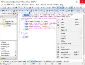 EditPlus 5.6 Build 4250 Crack + Keygen (2022) Download