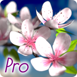 Flowers Pro Crack + Serial Keygen Latest Version 2023 Download